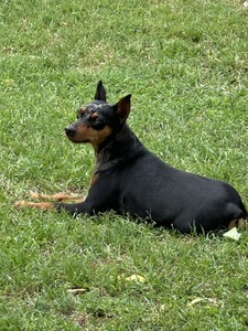 Teeter