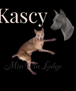 Kascy